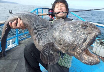 Pitch de vendas: você sabe vender o seu peixe?